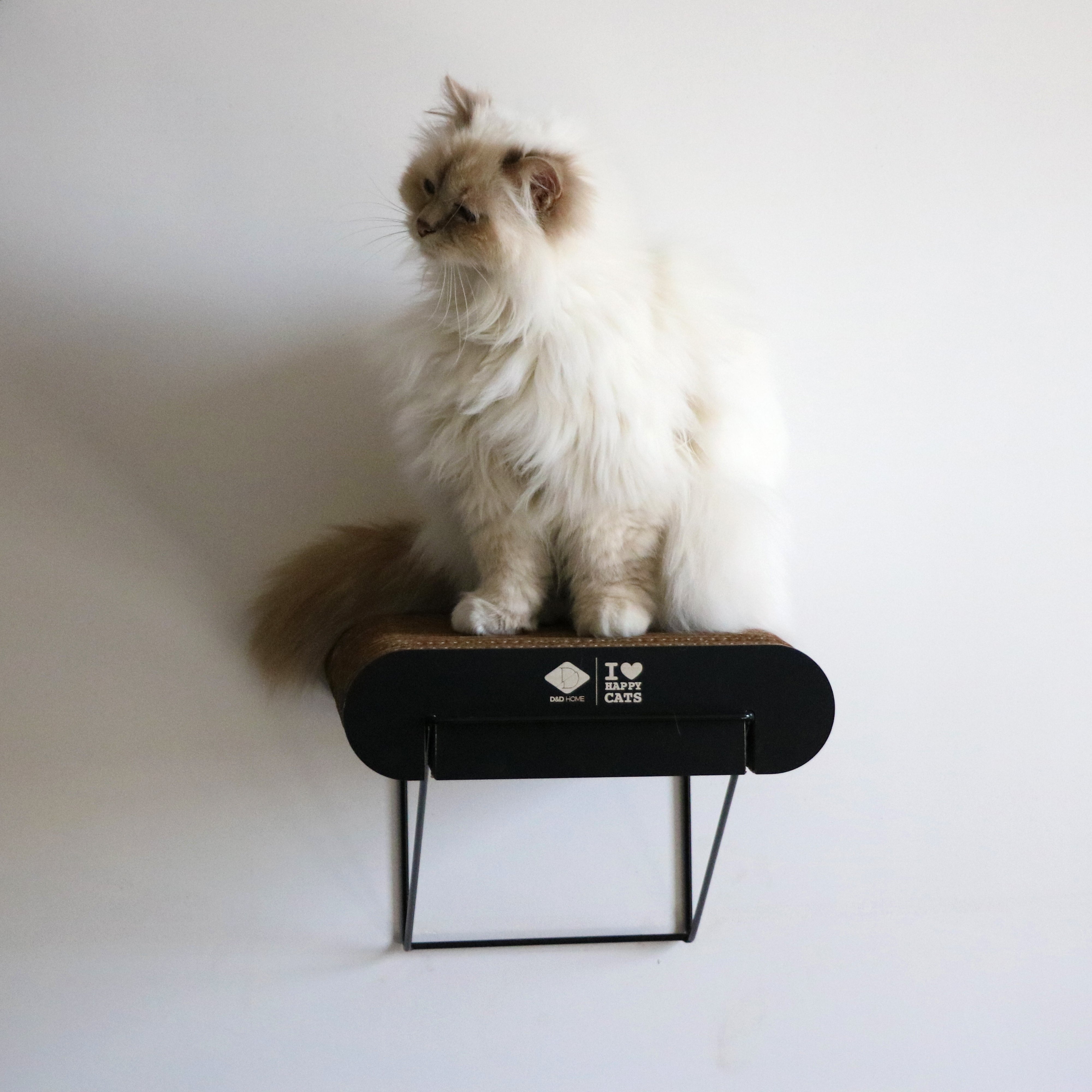 DAVID Cardboard Wall Shelf