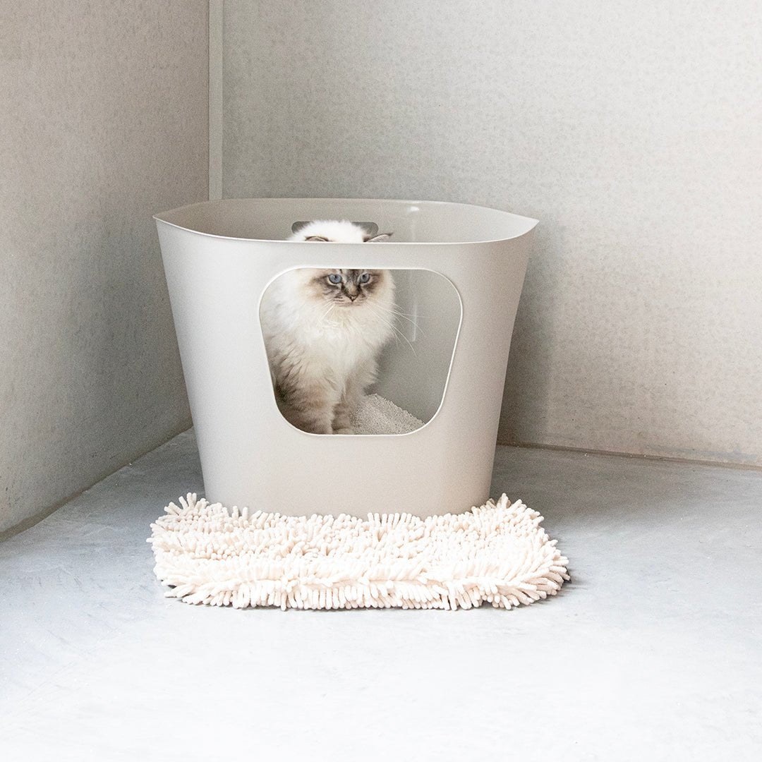 DAISY - Kattenbakmat