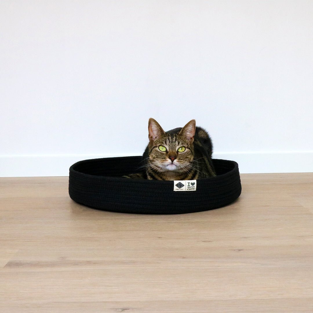 Jess kattenmand