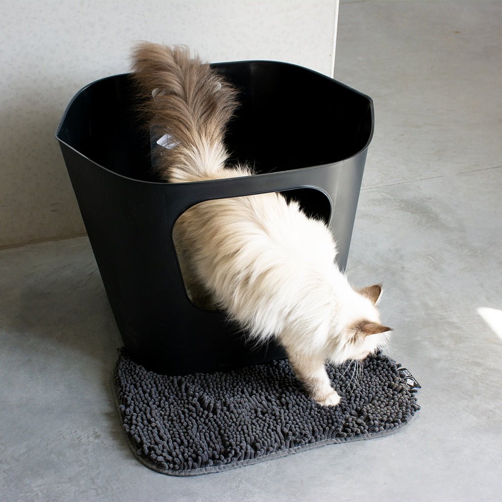 Kattenbakset Dean