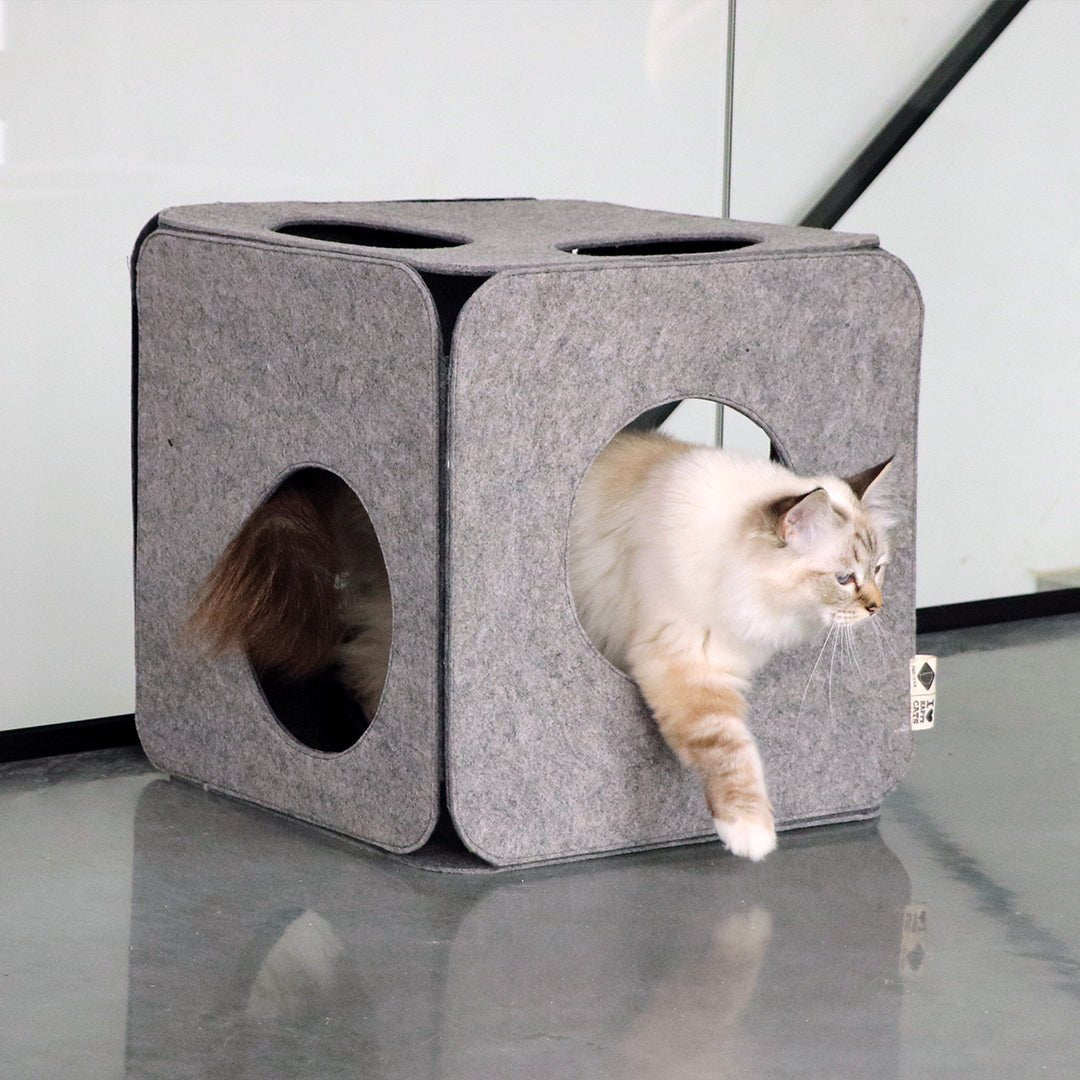 NALA - Speelkubus