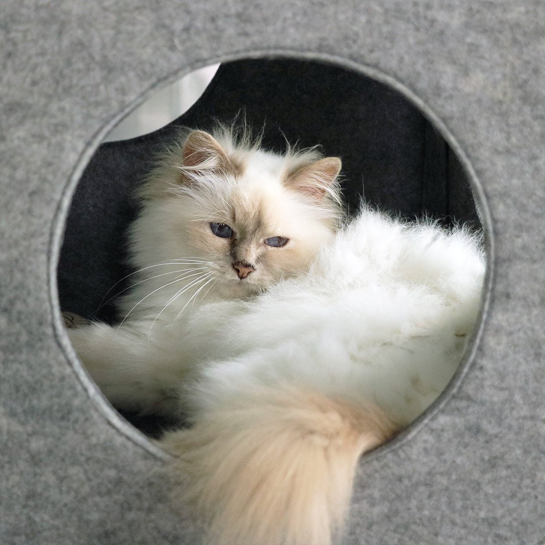 NALA - Speelkubus
