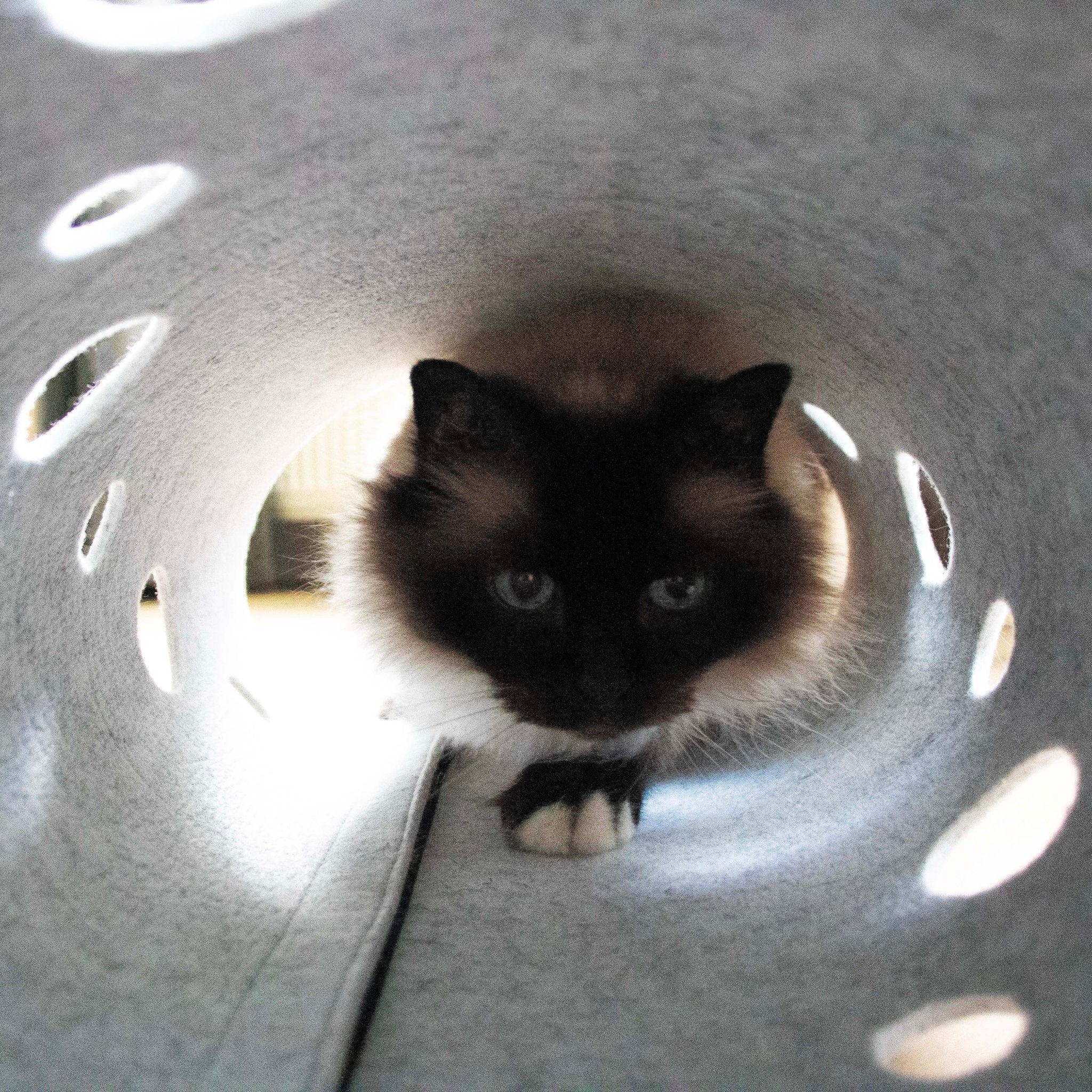 Speeltunnel LANA