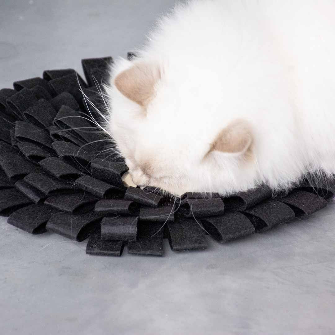 SUZY - snackmat