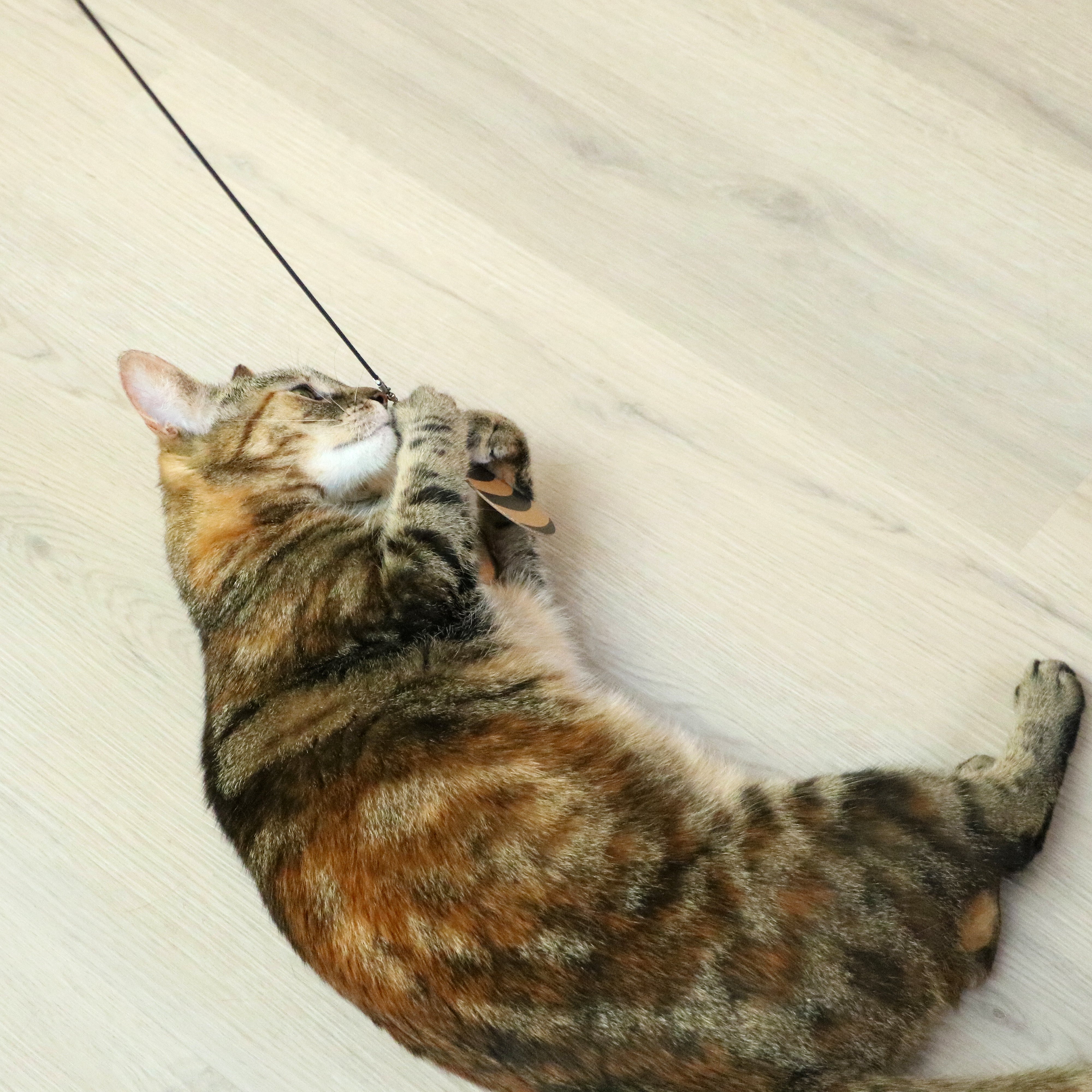 CONNOR Telescopische speelhengel