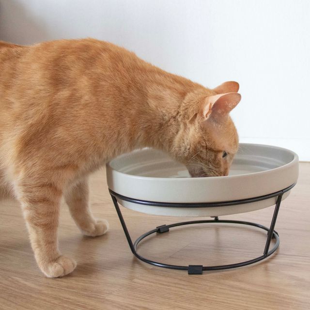 Standaard DASH 2-in-1 voor SUE & ACE Zwart