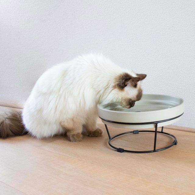 Standaard DASH 2-in-1 voor SUE & ACE Zwart