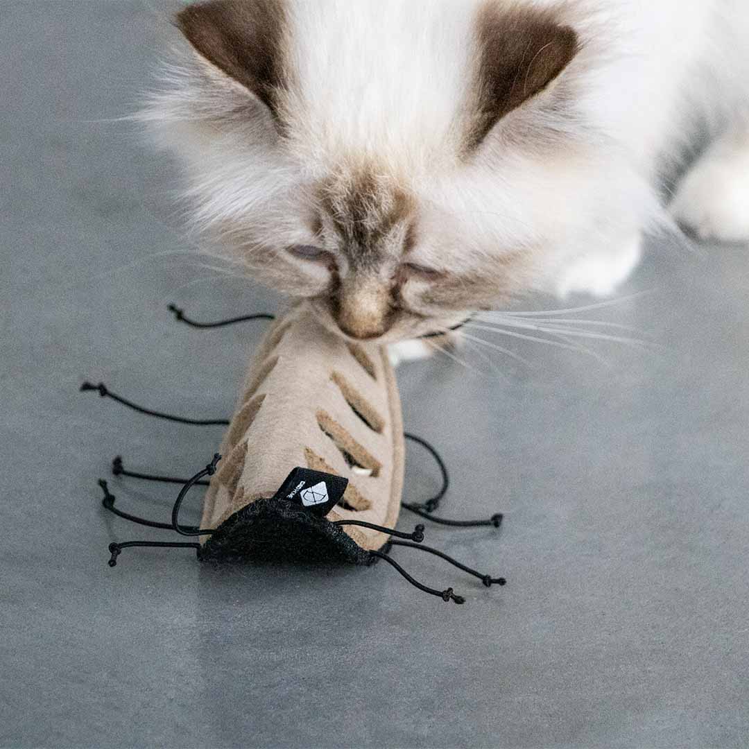 CHUCK - snackspeeltje