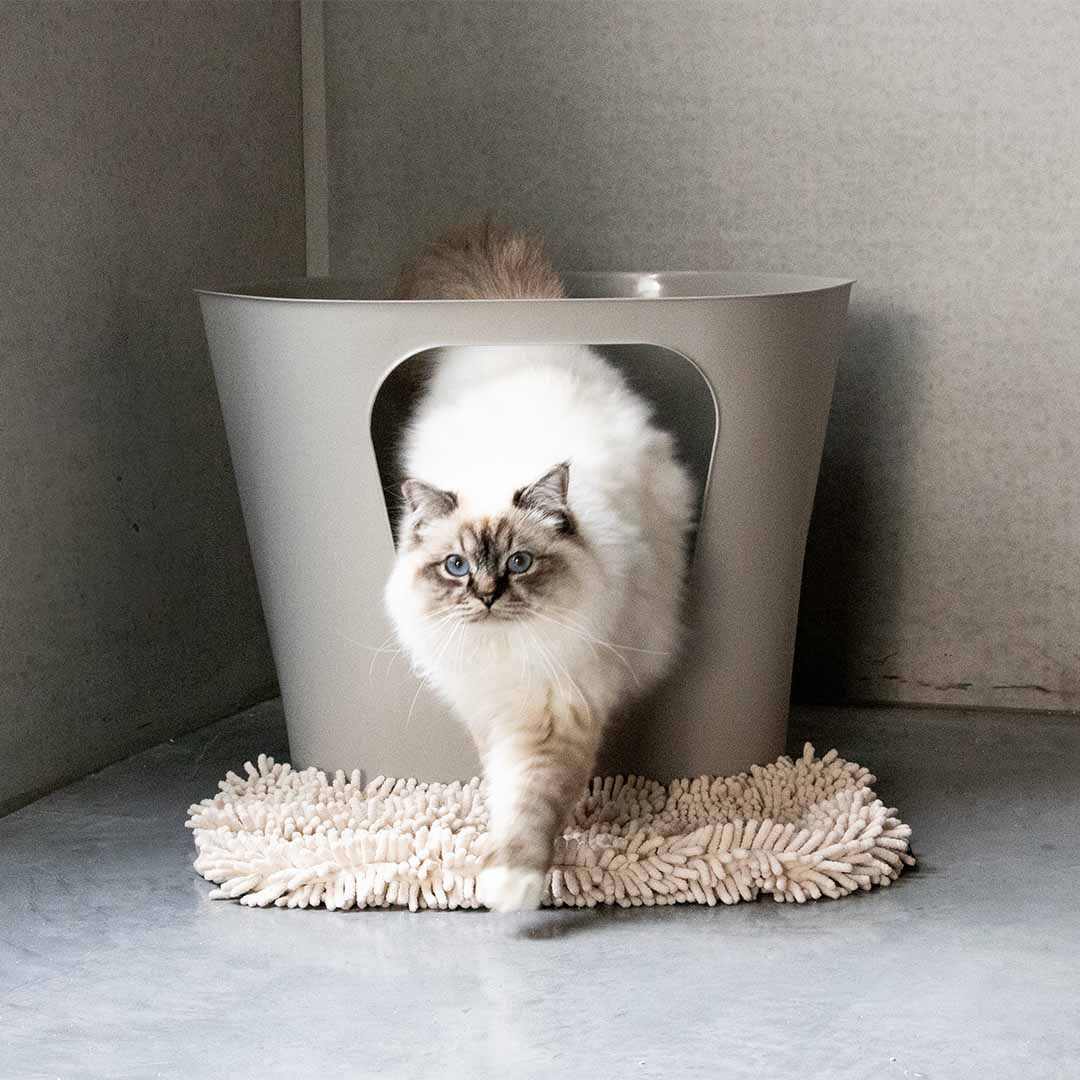 Kattenbakset Dean