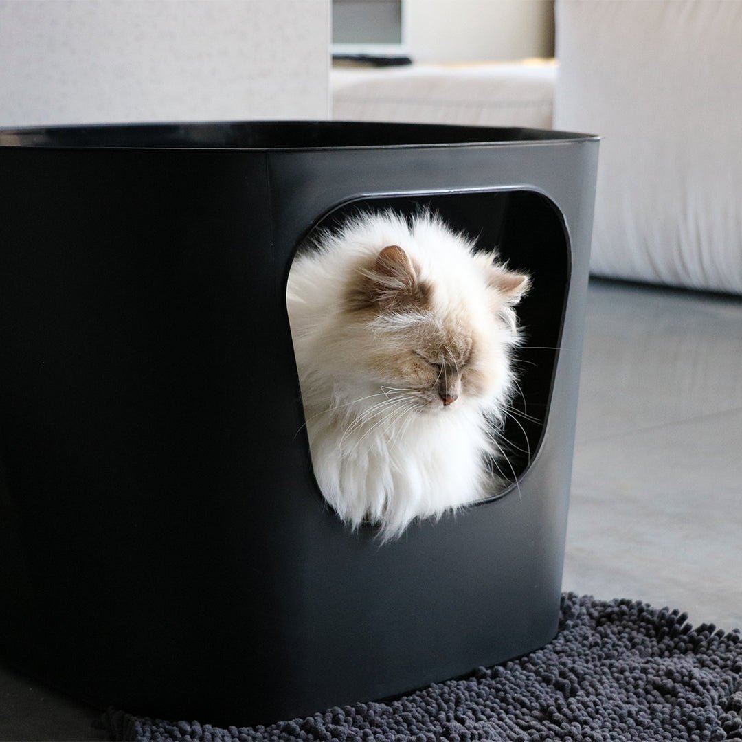 Kattenbakset Dean