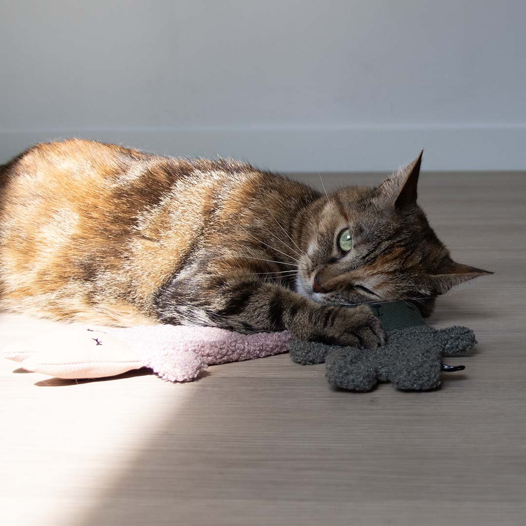 ALFIE XL - Kattenspeeltje