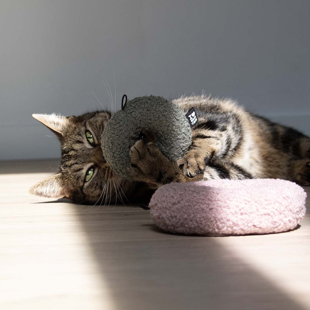 MAPLE - Kattenspeeltje
