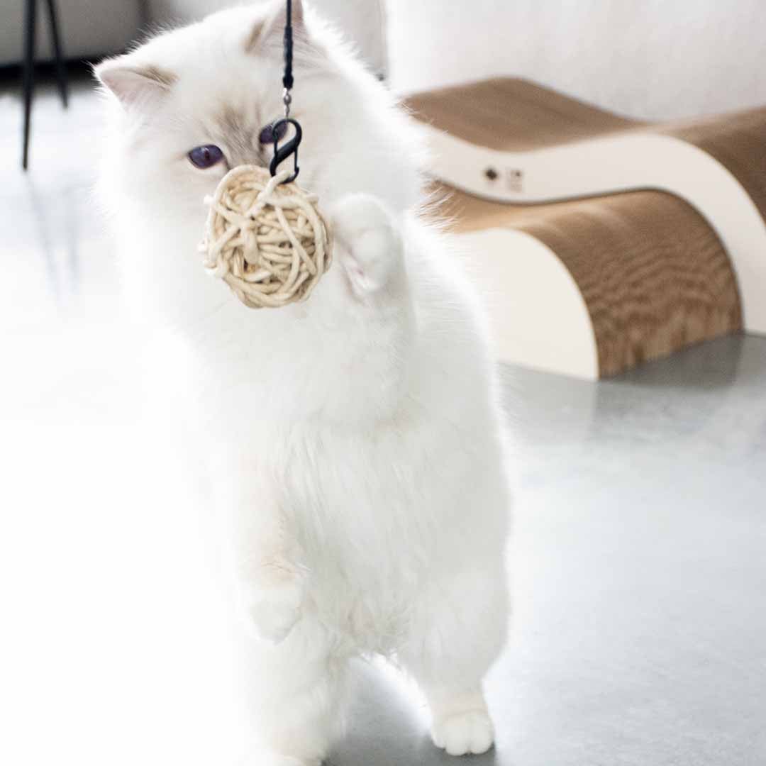 MILES - bal van maïsblad