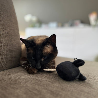 MOOSY - Speelmuis
